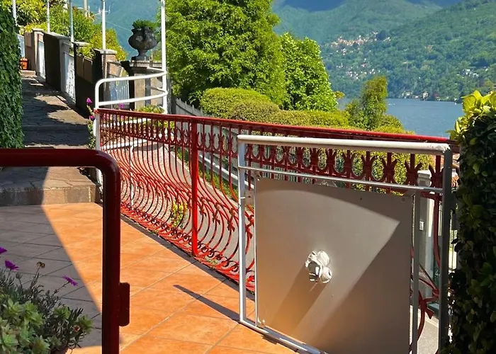 Andreina مولترازْيو